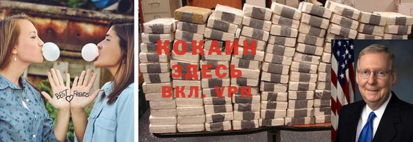 стафф Дмитровск