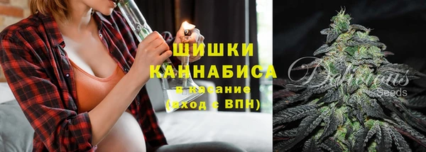 первитин Дмитриев